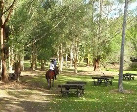 Port Macquarie Horse Riding Centre - Tourism Townsville 6
