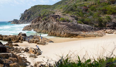 Little Bay Beach - Tourism Townsville 3