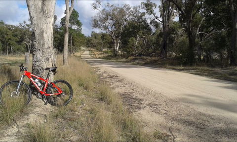 Granite Belt Bicycle Tours And Hire - Tourism Townsville 5