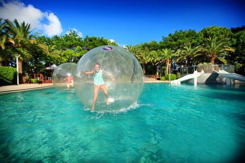 Time Out Adventures - Segway, Laser Clay, Water Balls And More - Tourism Townsville 8