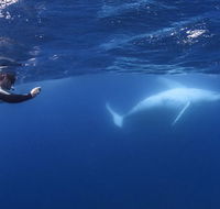 Sunreef Mooloolaba - Tourism Townsville