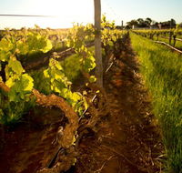 Kaesler Old Vine Vineyard Tour - Tourism Townsville