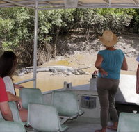 Whitsunday Crocodile Safari - Tourism Townsville