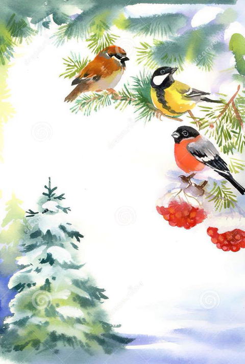 Two Birds Gallery - Tourism Townsville 2