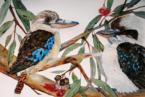 Two Birds Gallery - Tourism Townsville 3