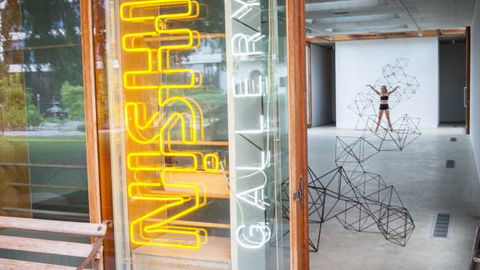 Nishi Gallery - Tourism Townsville 0