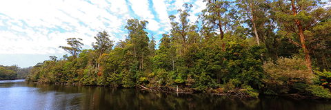 A R Reflections River Cruises - Tourism Townsville 0