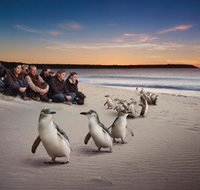 Down Under Thrills