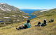 Multi-Day Snowy Mountains And Sapphire Coast From Canberra - thumb 1