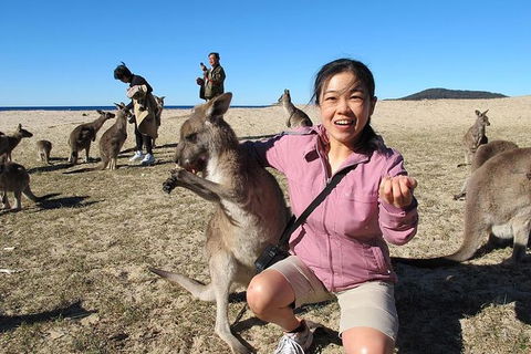 Batemans Bay Full-Day Tour From Canberra Including Indigenous Experience - Tourism Townsville 0