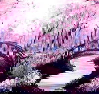 Pink Forest - Boardwalk Bar 4.00-6.00pm - Tourism Townsville