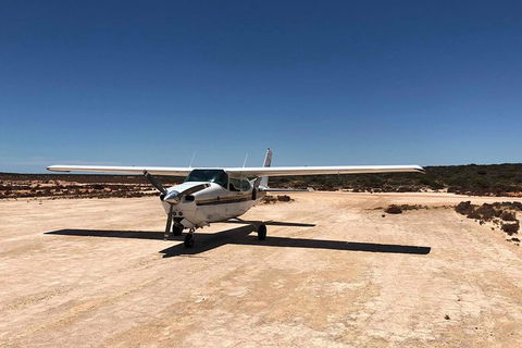 Kalbarri Gorges & West Coast - Ground & Air Tour - Tourism Townsville 6