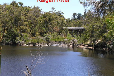 Kalgan Queen Scenic Cruises A Four Hour Sheltered Water Wildlife Tour Daily Fun. - Tourism Townsville 3