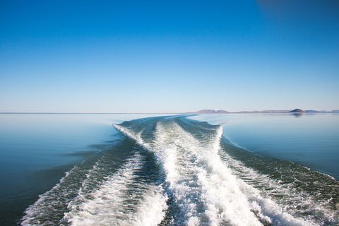 Lake Argyle Best Of Lake Argyle Cruise Departing Lake Argyle - Tourism Townsville 5