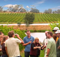 Yarra Valley Wine and Winery Tour from Melbourne - Tourism Townsville