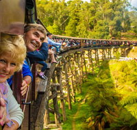 Puffing Billy Steam Train  Healesville Wildlife Sanctuary Tour From Melbourne - Tourism Townsville