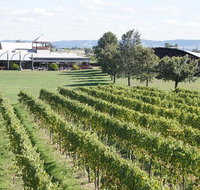 Puffing Billy Train and Yarra Valley Food and Wine Day Trip from Melbourne - Tourism Townsville