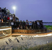 Small-Group Phillip Island Day Trip from Melbourne with Penguin Plus Viewing - Tourism Townsville