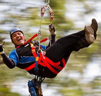 12 Apostles and Otway Fly Zipline Day Trip from Melbourne - Tourism Townsville