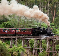 Melbourne Combo Great Ocean Road Puffing Billy Moonlit Sanctuary  Penguins - Tourism Townsville