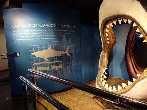 SEA LIFE Melbourne Aquarium Admission Ticket - Tourism Townsville 10