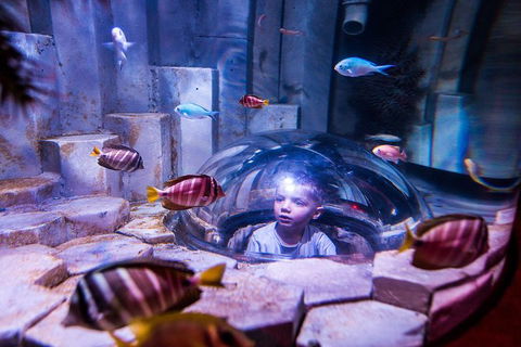 SEA LIFE Melbourne Aquarium Admission Ticket - Tourism Townsville 0