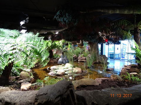 SEA LIFE Melbourne Aquarium Admission Ticket - Tourism Townsville 2