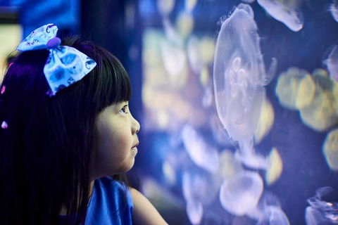 SEA LIFE Melbourne Aquarium Admission Ticket - Tourism Townsville 17
