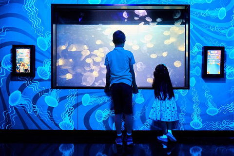 SEA LIFE Melbourne Aquarium Admission Ticket - Tourism Townsville 18