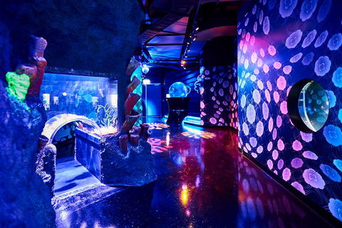 SEA LIFE Melbourne Aquarium Admission Ticket - Tourism Townsville 13