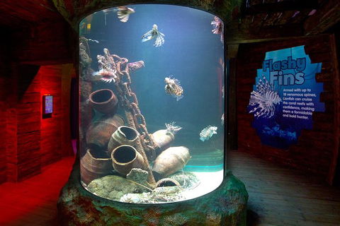 SEA LIFE Melbourne Aquarium Admission Ticket - Tourism Townsville 23