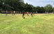 Quidditch Melbourne - thumb 8
