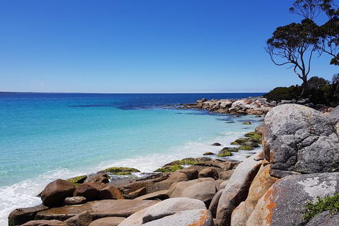 Tasmania 6 Day \'Tour In Circle\' - Tourism Townsville 4