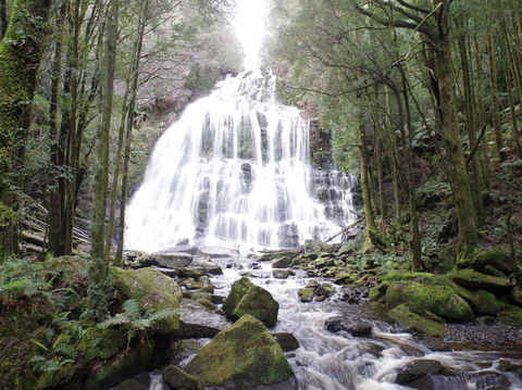 5-Day Best Of Tasmania Tour From Hobart - Tourism Townsville 2