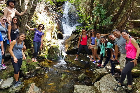 5-Day Best Of Tasmania Tour From Hobart - Tourism Townsville 9
