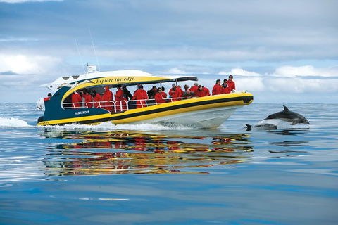 3-Hour Tasman Peninsula Wilderness Cruise From Port Arthur - Tourism Townsville 5