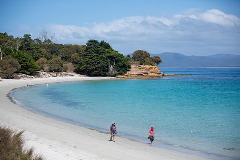 Maria Island Active Day Trip From Hobart - Tourism Townsville 1