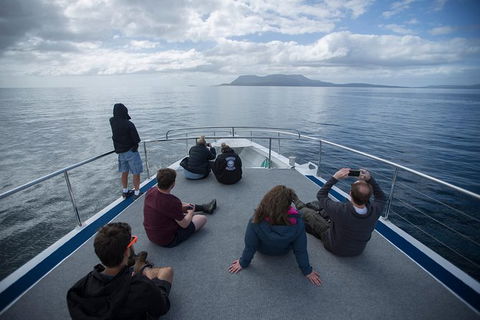 Maria Island Active Day Trip From Hobart - Tourism Townsville 13