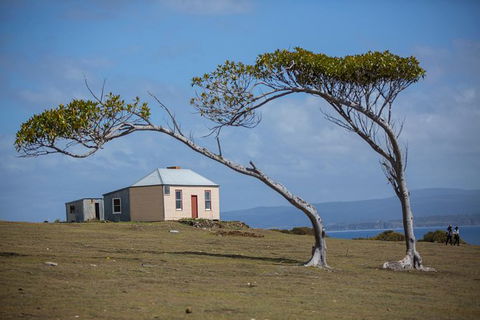 Maria Island Active Day Trip From Hobart - Tourism Townsville 3