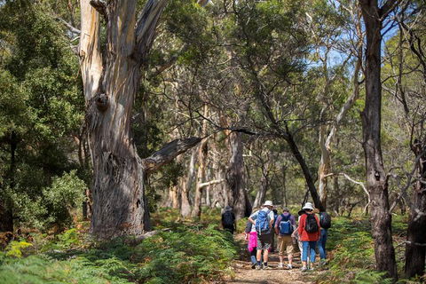 Maria Island Active Day Trip From Hobart - Tourism Townsville 12