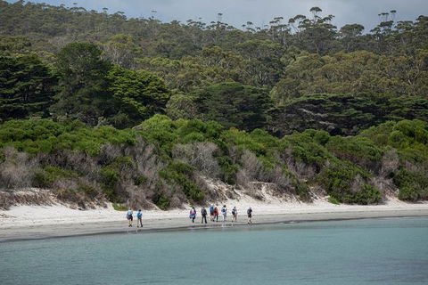Maria Island Active Day Trip From Hobart - Tourism Townsville 11