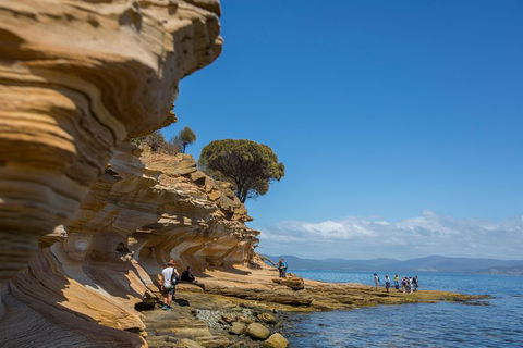 Maria Island Active Day Trip From Hobart - Tourism Townsville 5