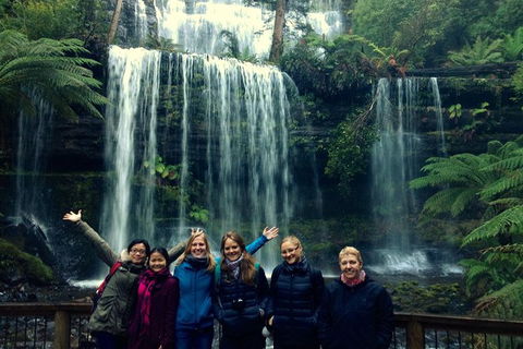 Mt Field National Park Active Day-Trip Including Bonorong And Mt Wellington - Tourism Townsville 1
