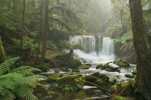 Mt Field National Park Active Day-Trip Including Bonorong And Mt Wellington - Tourism Townsville 10