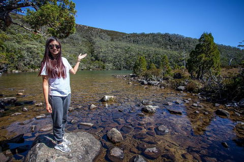 Mt Field National Park Active Day-Trip Including Bonorong And Mt Wellington - Tourism Townsville 12