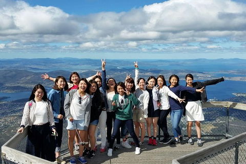 Mt Field National Park Active Day-Trip Including Bonorong And Mt Wellington - Tourism Townsville 3