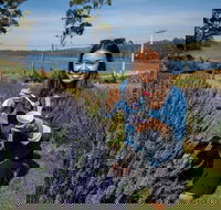 Port Arthur and Lavender Farm Active Day Tour - Tourism Townsville