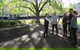 Hobart Historic Walking Tour - thumb 1