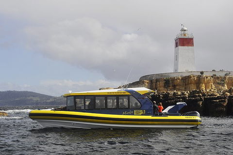 Hobart Sightseeing Cruise Including Iron Pot Lighthouse - Tourism Townsville 7