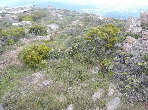 Mt Wellington Tour And MONA Admission - Tourism Townsville 8